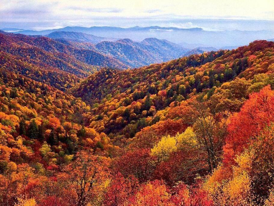 Whiskey Ridge Lodge, A Restored 1940S Gem, 2 Mins From Downtown, Breathtaking City Views, Custom Game Room, And Spacious Elegance Gatlinburg Exterior foto